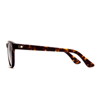 Otis Summer Of 67 142-2006P Eco Havana / Brown Polarised Lenses