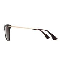 Otis Phoenix 149-2103 Eco Matte Havana / Brown Lenses