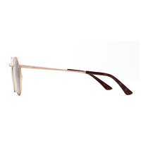 Otis Flint 134-2102 Brushed Gold / Brown Lenses