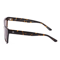 Sito Bender SIBDR004S Havana / Coffee Lenses