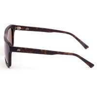 Sito GT SIGT001P Matte Chestnut Tortoise / Brown Polarised Lenses