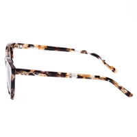 Sito Now Or Never SINON017S Chestnut Tortoise / Coffee Lenses
