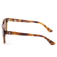 Otis Summer Of 67 X 163-2402LL Havana Zinnia / Brown L.I.T Polarised Lenses