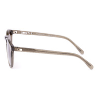 Otis Omar 26-2618P Crystal Fern / Brown Polarised Lenses