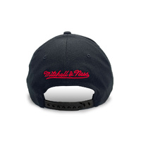 Mitchell & Ness Chicago Bulls Pro Pinch Evergreen Black OSFM