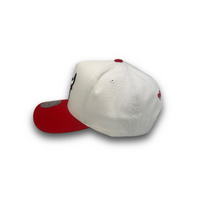 Mitchell & Ness Chicago Bulls Pro Pinch White & Team Colour White Cream/Red OSFM