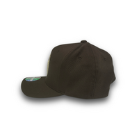 Mitchell & Ness Las Vegas Raiders Flexfit 110 Winter Colour Brown OSFM