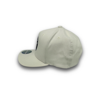 Mitchell & Ness Boston Celtics Flexfit 110 Seasonal White OSFM