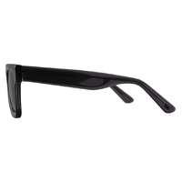 Bill Bass Archie 28223 Crystal Grey / Grey Polarised Lenses