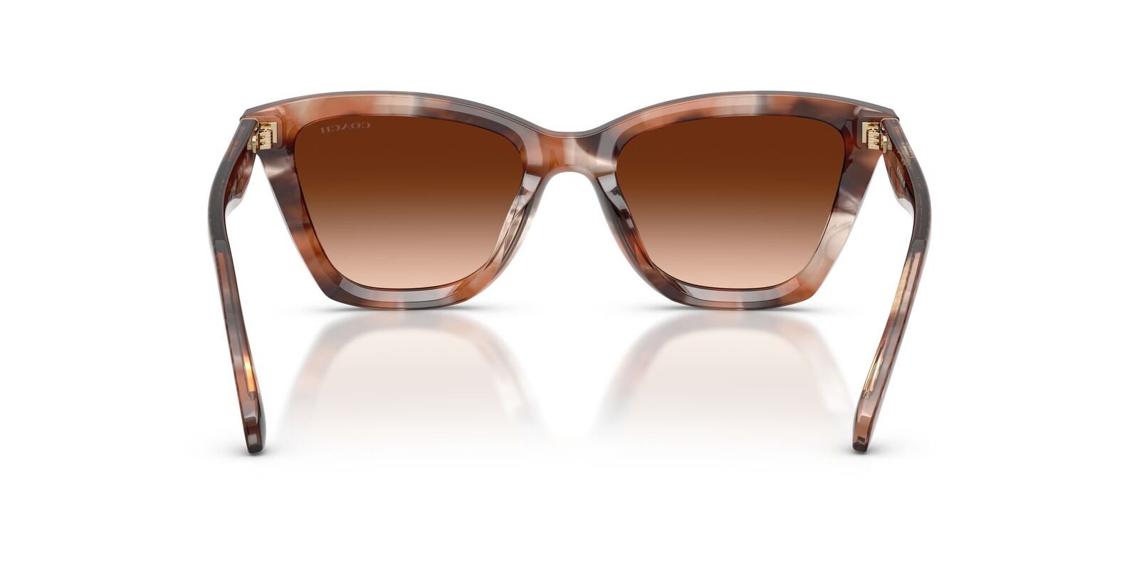 Coach CFU10 HC8464U 596574-52 Pecan Watercolour / Brown Gradient Lenses