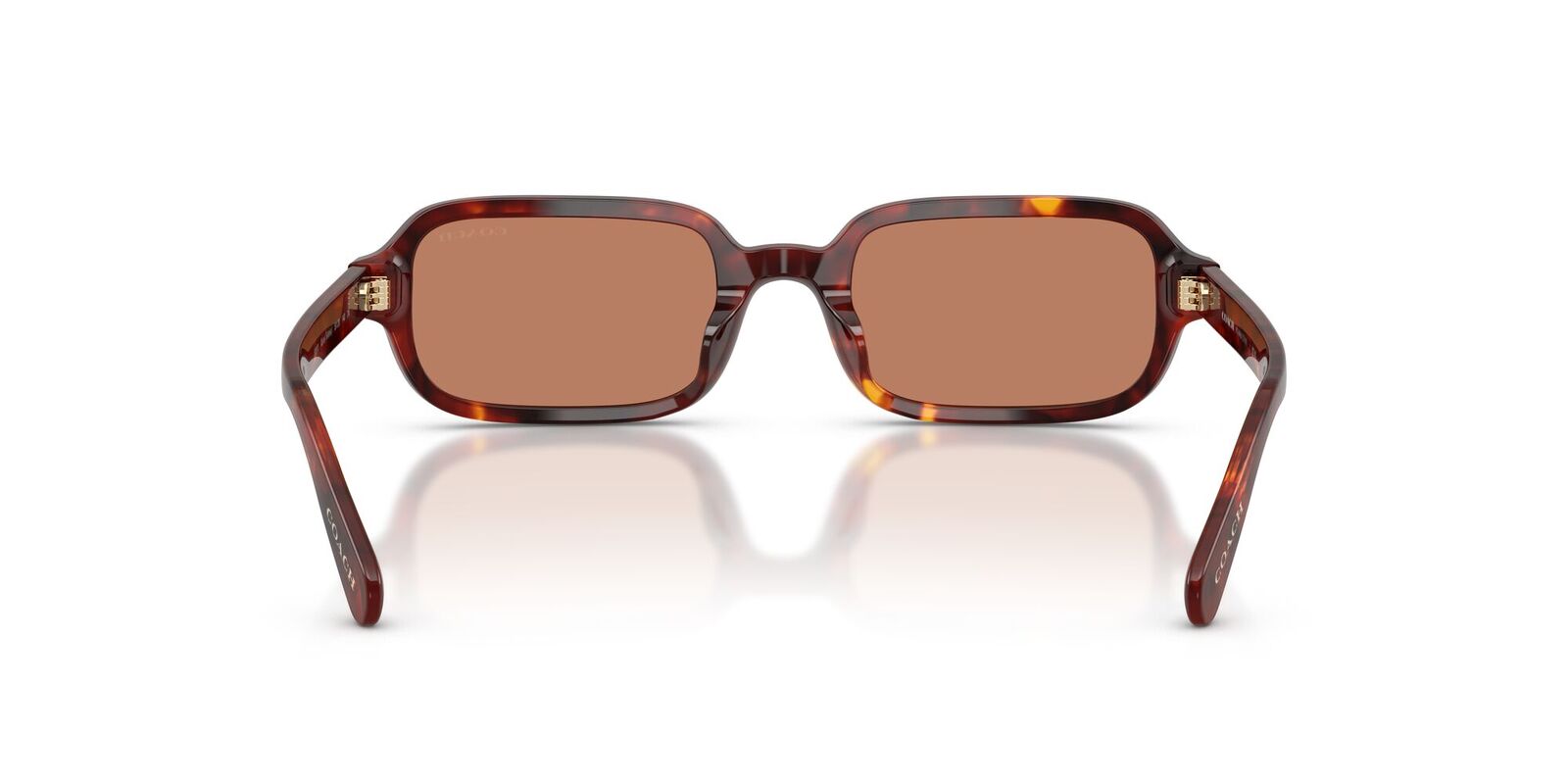 Coach CFU11 HC8465U 593873-51 Walnut Tortoise / Light Brown Solid Lenses