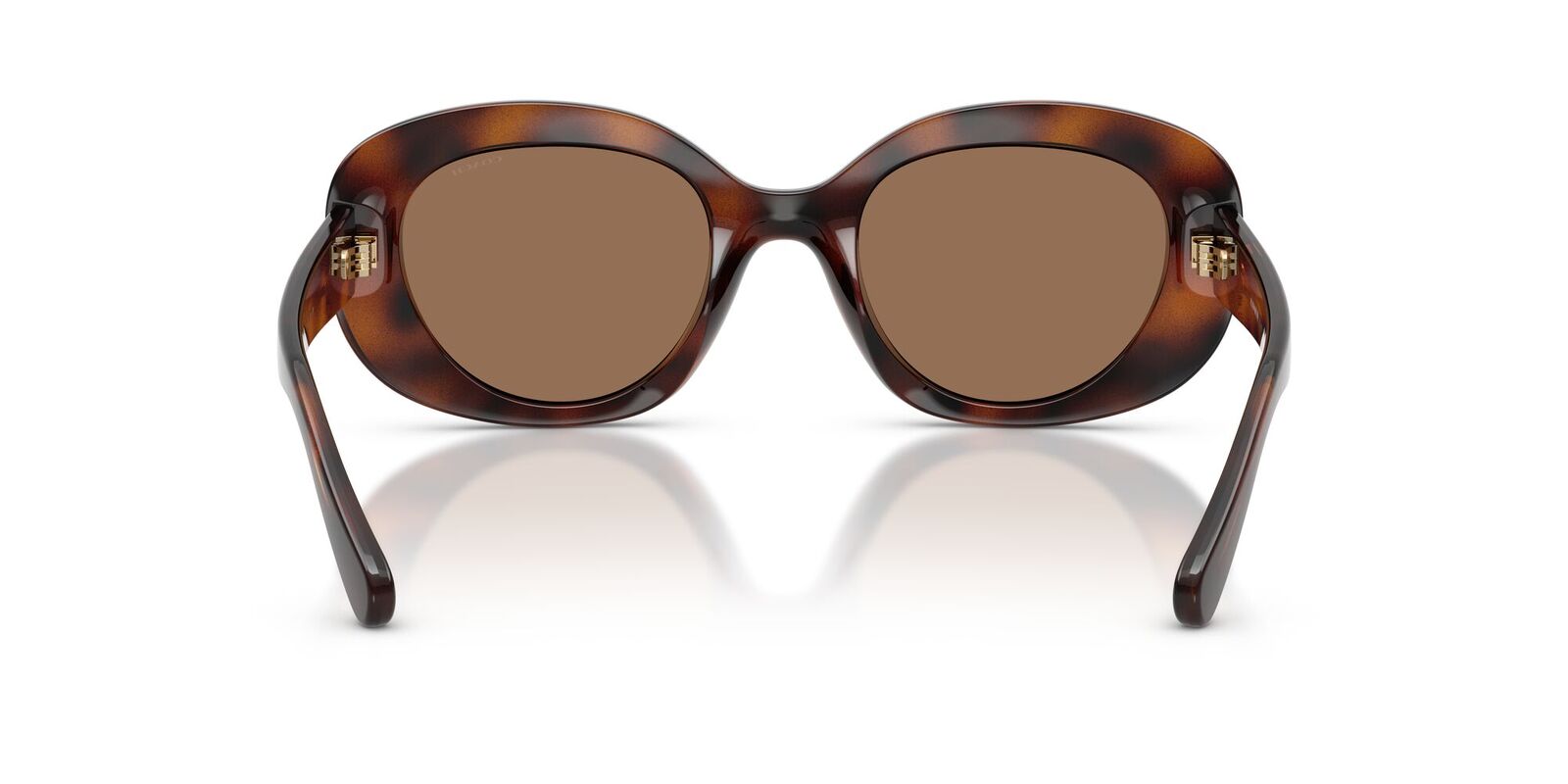 Coach CFU08 HC8463U 512073-51 Dark Tortoise / Brown Solid Lenses