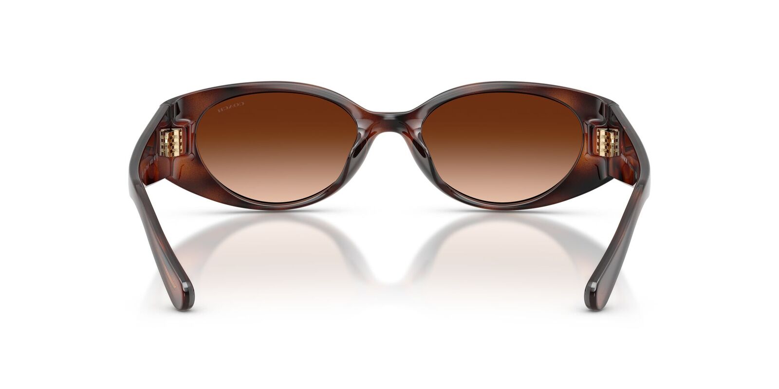 Coach CFU06 HC8462U 512074-54 Dark Tortoise / Brown Gradient Lenses