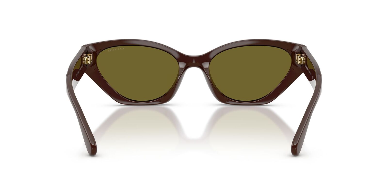 Coach CFT83 HC8459U 5957/2-55 Pecan / Olive Green Solid Lenses