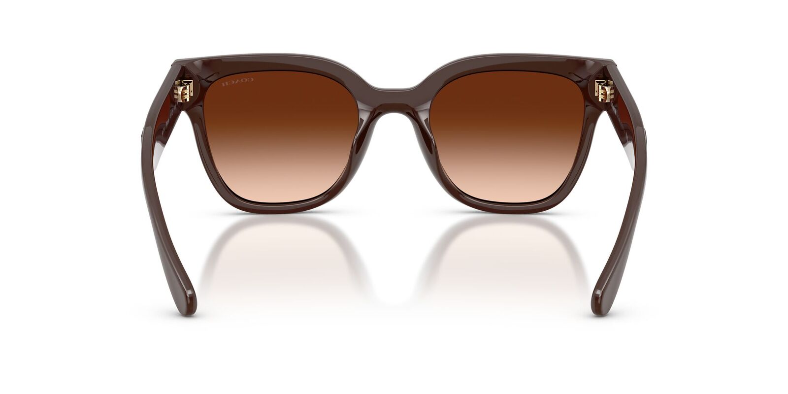 Coach CFT88 HC8460U 595774-51 Pecan / Brown Gradient Lenses