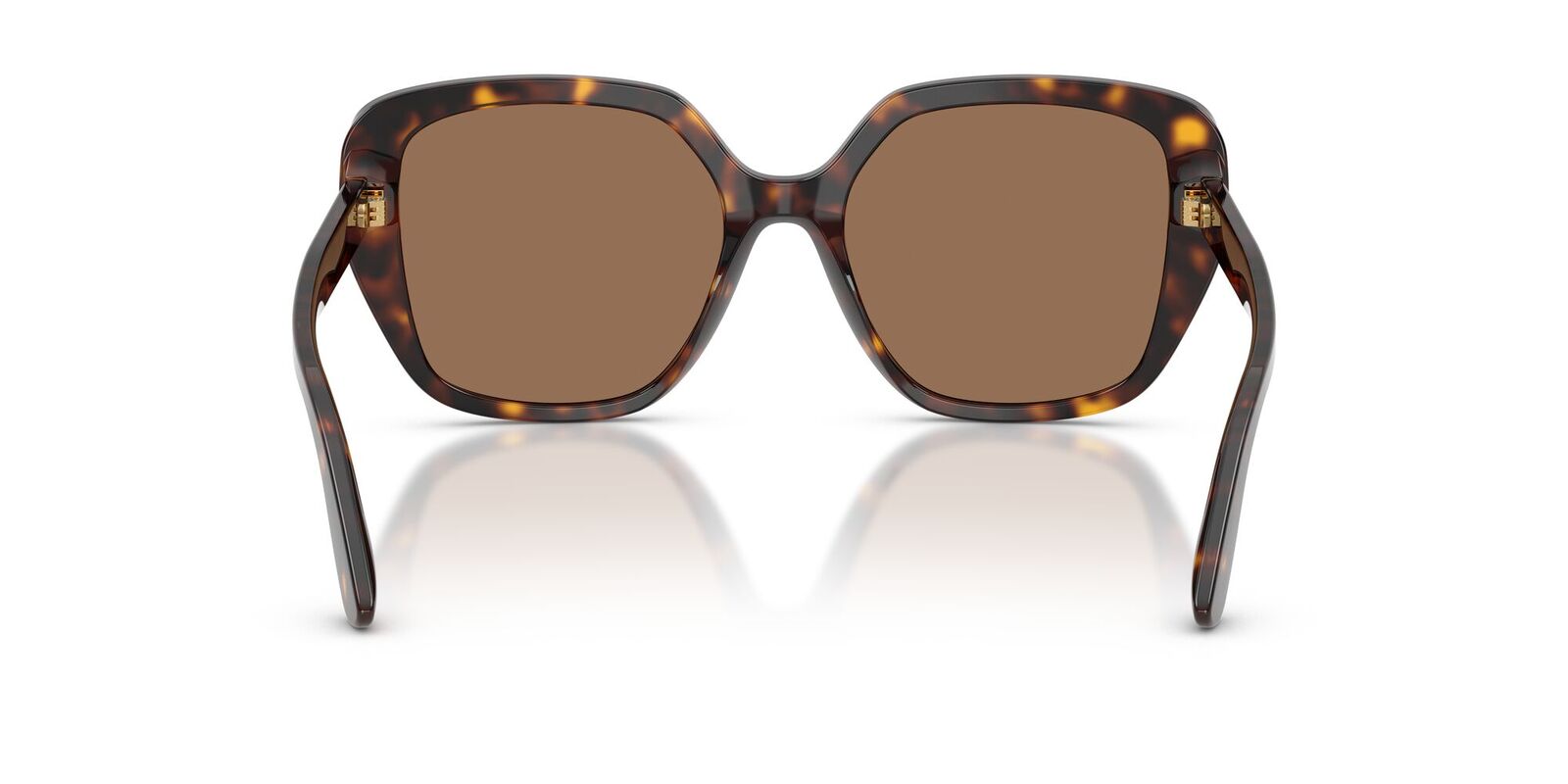 Dolce & Gabbana DG4569 502/73-54 Havana / Dark Brown Lenses