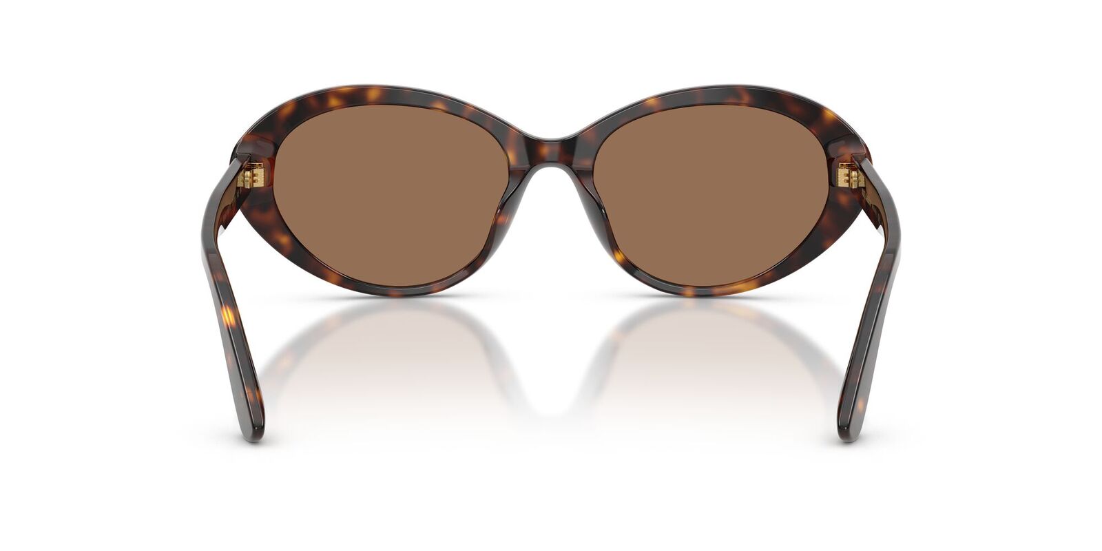 Dolce & Gabbana DG4570 502/73-53 Havana / Dark Brown Lenses