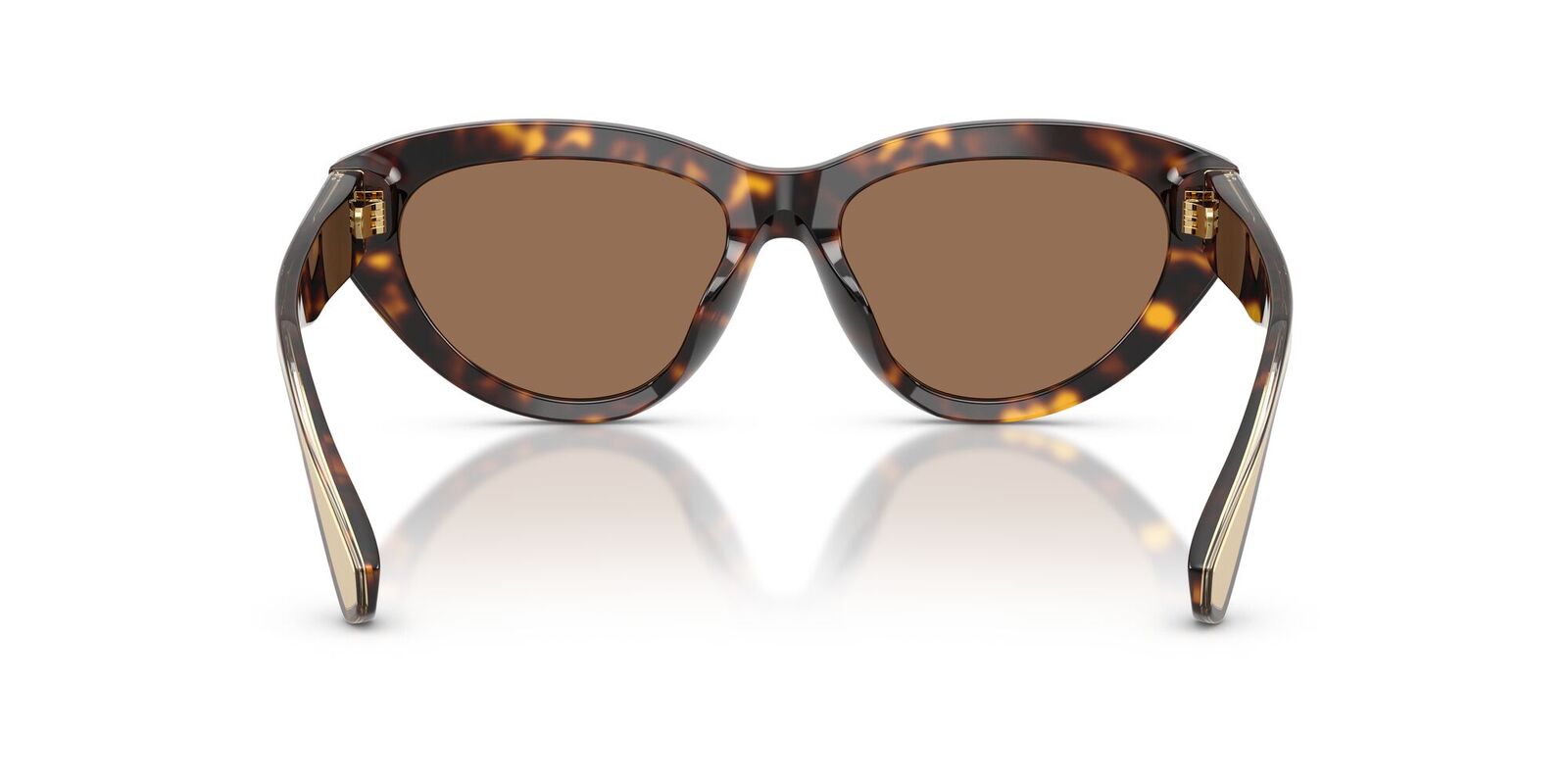 Dolce & Gabbana DG4558 502/73-54 Havana / Dark Brown Lenses