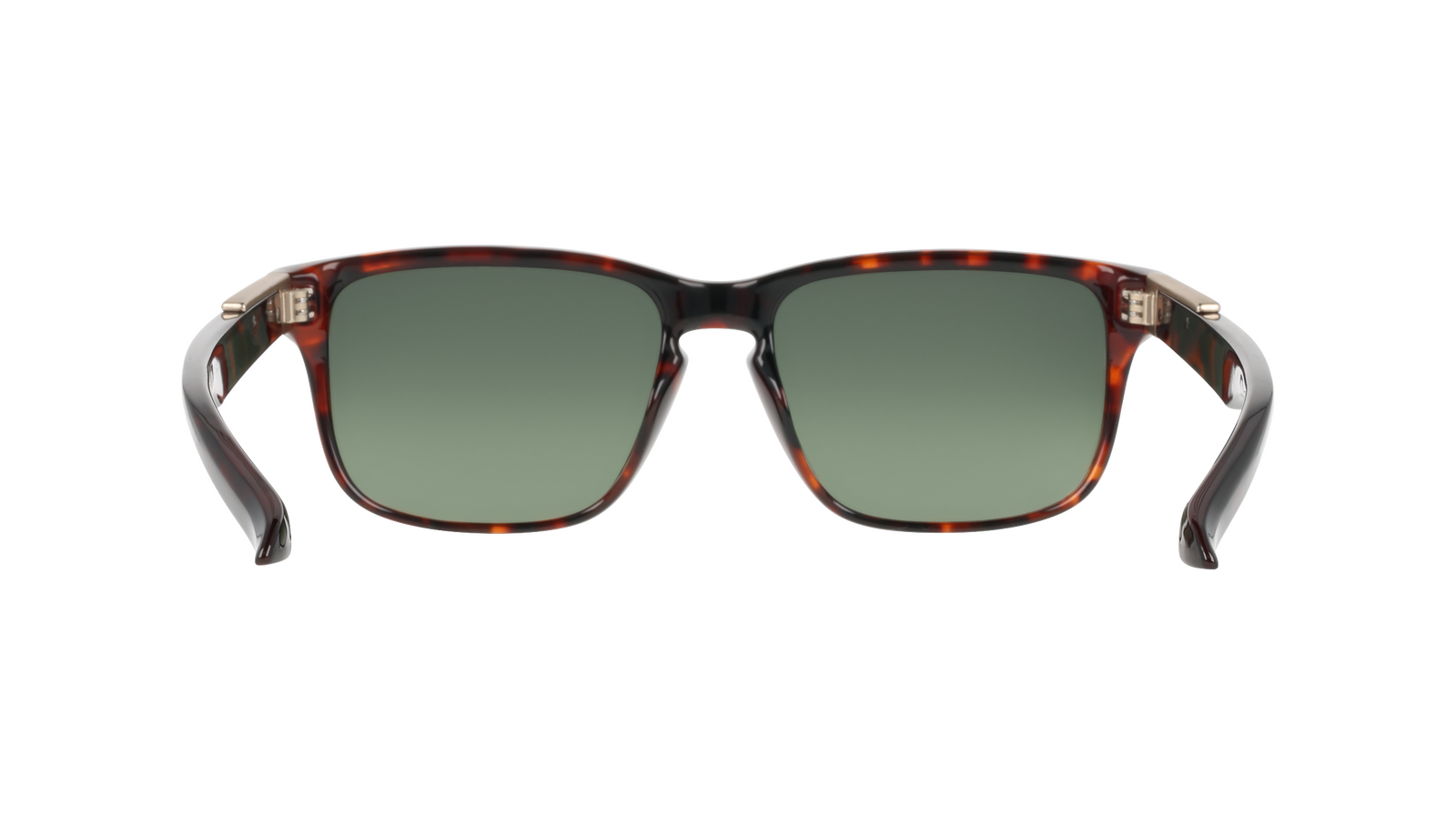 Dragon Capo DR804S 246-57 Tortoise / G15 Green Gradient Luma Lenses
