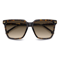 Carrera 3069/S 086 HA 57 Havana / Brown Gradient Lenses