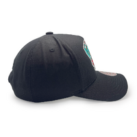 Mitchell & Ness Vancouver Grizzlies Pro Pinch Evergreen Core Team Colour Black OSFM