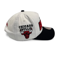 Mitchell & Ness Chicago Bulls Pro Pinch Draft Day Vintage White/Black OSFM