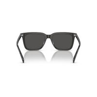 Coach CL910 HC8385U 579387-54 Transparent Dark Grey / Grey Lenses