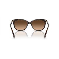 Coach CL926 HC8378U 512074-57 Dark Tortoise / Brown Gradient Lenses