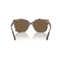 Michael Kors Malia MK2201 395173-58 Dark Tortoise w Cream Tortoise / Brown Solid Lenses