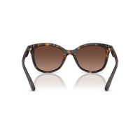 Coach CAD25 HC8419U 5120T5-55 Dark Tortoise / Brown Gradient Polarised Lenses