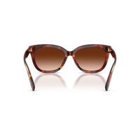 Coach CDP53 HC8453U 593874-56 Walnut Tortoise / Brown Gradient Lenses