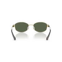 Michael Kors Monte Carlo MK1161 10149A-56 Light Gold / Green Polarised Lenses