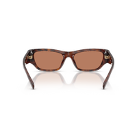 Coach CFU16 HC8470D 5120/3-55 Dark Tortoise / Light Brown Solid Lenses