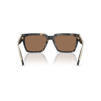 Michael Kors Dubrovnik MK2297U 394573-56 Black Camo Tortoise / Brown Lenses