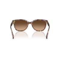 Coach HC8132 528713-57 Shiny Tortoise / Brown Gradient Lenses