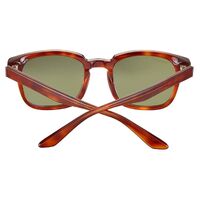 Serengeti Ethan SS575003 Shiny Classic Havana / 555nm Polarised Photochromic Lenses