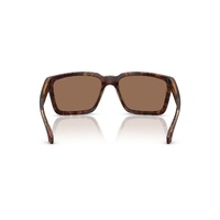 Arnette Plot Twist AN4346 277073-57 Dark Havana / Dark Brown Lenses