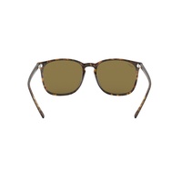 Ray-Ban RB4387 710/73-56 Havana / Dark Brown Classic B-15 Lenses