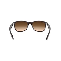 Ray-Ban RB4202 607313-55 Andy Matte Brown On Brown / Dark Brown Gradient Lenses