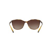 Emporio Armani EA4073 502613-56 Shiny Havana / Brown Gradient Lenses