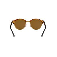 Ray-Ban RB4246 1160-51 Clubround Brown Havana / Brown Lenses