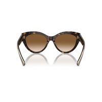 Tiffany & Co TF4220 801551-54 Havana / Clear Brown Gradient Lenses