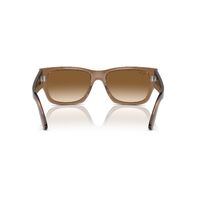 Ray-Ban RB0947S 664051-56 Carlos Transparent Light Brown / Clear Brown Gradient Lenses