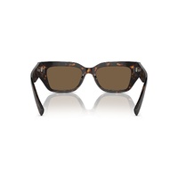 Dolce & Gabbana DG4462 502/73-52 Havana / Dark Brown Lenses