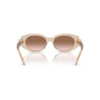 Swarovski SK6002 103413-53 Transparent Beige / Gradient Brown Lenses
