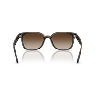 Ray-Ban RB4461D 710/13-64 Havana / Brown Gradient Lenses