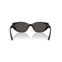 Ray-Ban RB4457D 667787-55 Black / Dark Grey Lenses