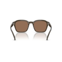 Emporio Armani EA4245U 624973-54 Shiny Transparent Grey / Dark Brown Lenses