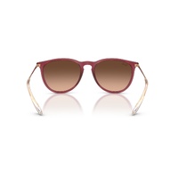 Ray-Ban RB4171 6815A5-54 Erika Rubber Violet / Brown Gradient Lenses