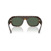 Ray-Ban RB2218 679071-55 Havana / Green Lenses